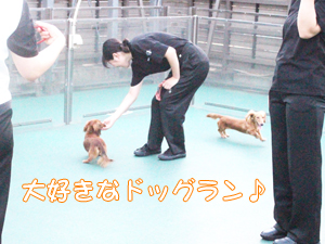 夜間部の時間帯にお散歩♪